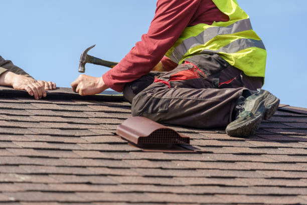 Best Flat Roof Repair Services  in Montgomery, MN