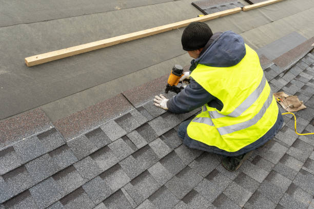 Best Roof Leak Repair  in Montgomery, MN