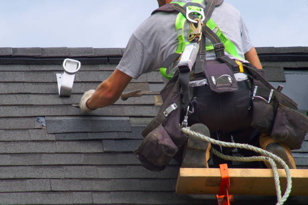 Best Shingle Roofing Installation  in Montgomery, MN