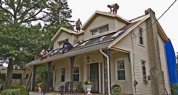 Best Local Roofing Companies  in Montgomery, MN