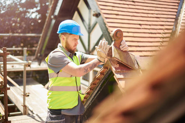Best Roof Repair Services  in Montgomery, MN