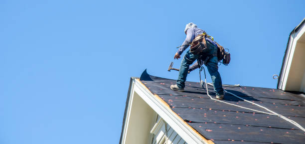 Best Storm Damage Roof Repair  in Montgomery, MN